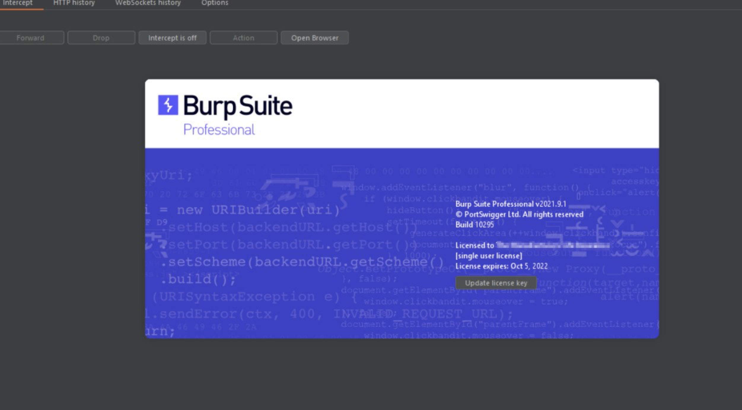 Burp Suite Professional 2023.10.3.7 instaling