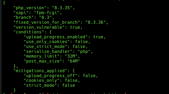 Condition report JSON: version_vulnerable true, upload_progress enabled